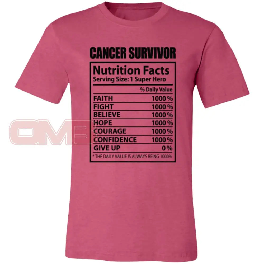 Cancer Survivor Heather Raspberry / X-Small T-Shirts